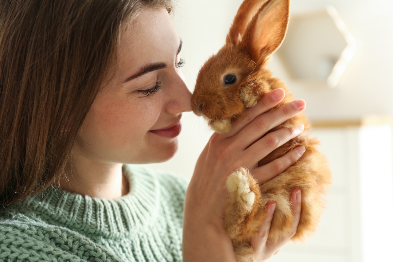 młoda dziewczyna z małym króliczkiem